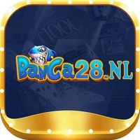 banca28nl