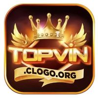 topvinclogo