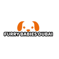 furrybabiesdubai1