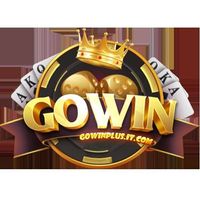 Gowinplusitcom