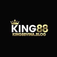 king88vinablog