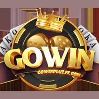 gowinplusitcom1