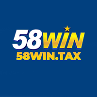 58wintax