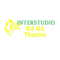 dagainterstudio