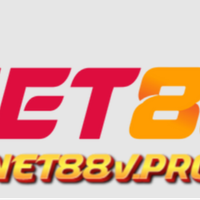 net88vpro