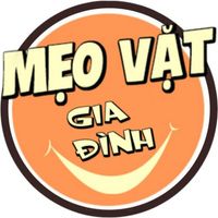 meovatgiadinh