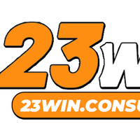 23Winconsulting