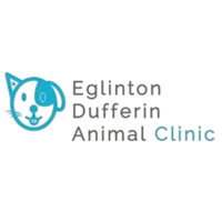 eglintondufferinan