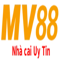 mv88elmarioshoes