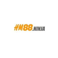 hm88ninja