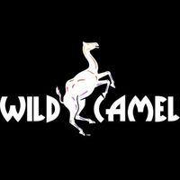 Wildcamel1