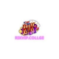 rikvipcollege1