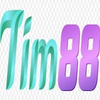 tim88promo1 0