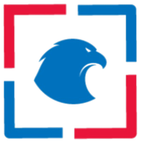 Translation Services