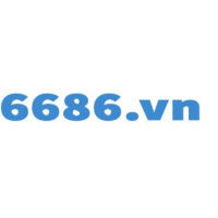 6686vin