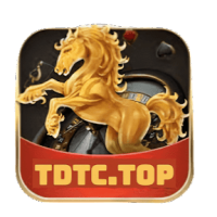 tdtc03f