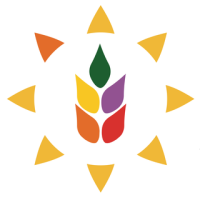 Thefoundationschool