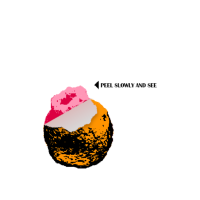 kyomatsumoo