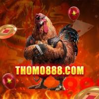 thomo888com