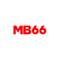 mb66fashion