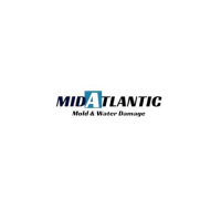 moldanwaterdamage