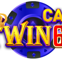 twin68cam1