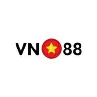 vn881limited