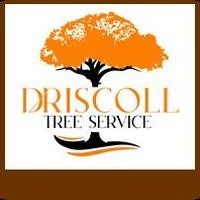 driscolltreeservice