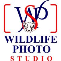 wildlifephotostudio