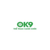 ok9vn2com