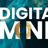 digitalmonkcalgary