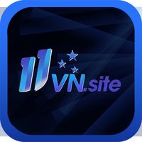 11vnsite