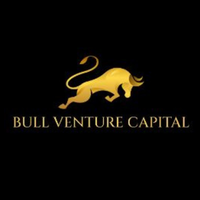 Bullventurecapital