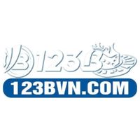 123bvninfo1