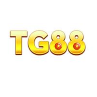 tg88linkcom