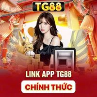 tg88my