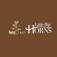 littlebighorns