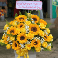 dienhoaquangnam