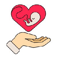 pregnancybaby