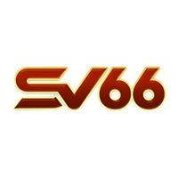 SV6688vip