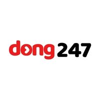 dong247