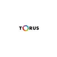 toruscoldpressjuicer