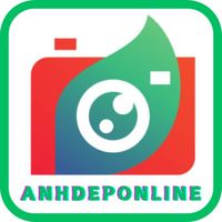 anhdeponlinecom