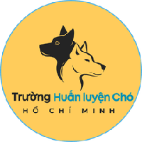 huanluyenchohcm