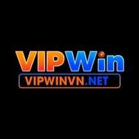 vipwinvnnet 0