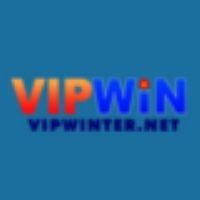 vipwinternet