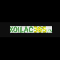 xoilaczit1