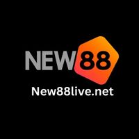 new88pronet
