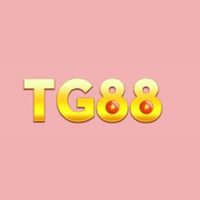 tg88appnet