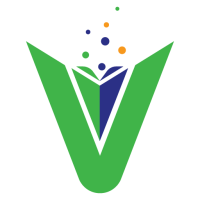 webvidya